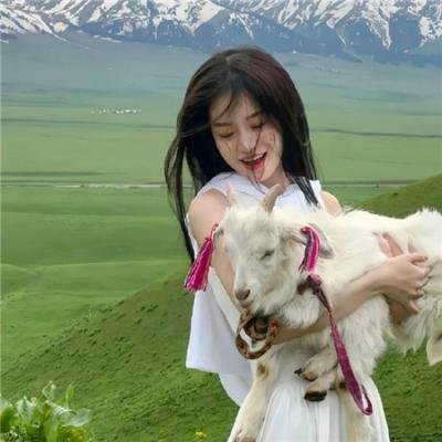 狗狗与你的故事